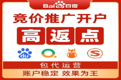 SEM运营公司案例解析：精准广告投放技巧